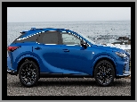 Lexus RX F Sport